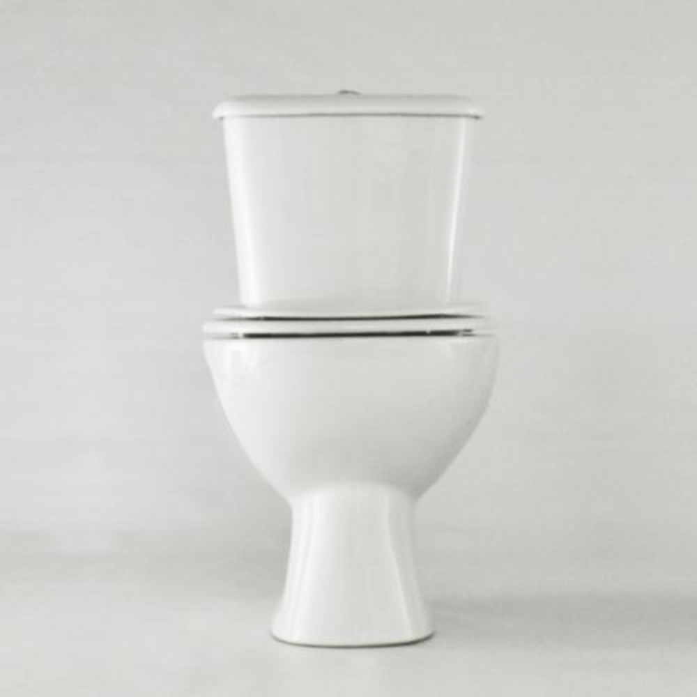 Inodoro Ferrum Andina Blanco Doble Descarga con Asiento TSPX