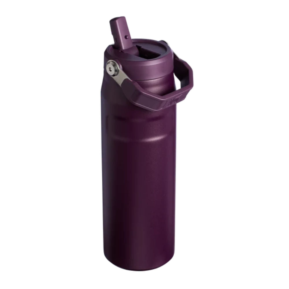 Botella 0.71Lt - 24OZ Aerolight Flip straw