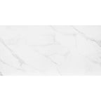 Porcelanato 60x120 Mont Blanc AC Eliane
