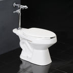 Fluxometro Inodoro FV E365.22