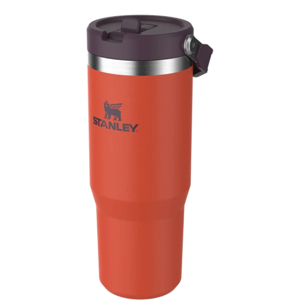 Botella 0.89lt - 30oz Classic Flip Straw Tumb