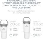 Tumbler Térmico Flip Straw 590 ml