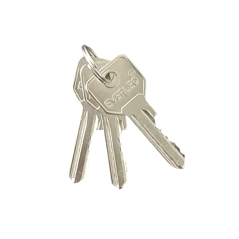 Chapa Puerta Everleo D85036 BA