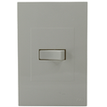 Placa Electrica Edy Brina BR-13801 de 1 Interruptor
