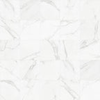 ELIA-5959-11A.jpg