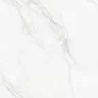 ELIA-5959-11.jpg