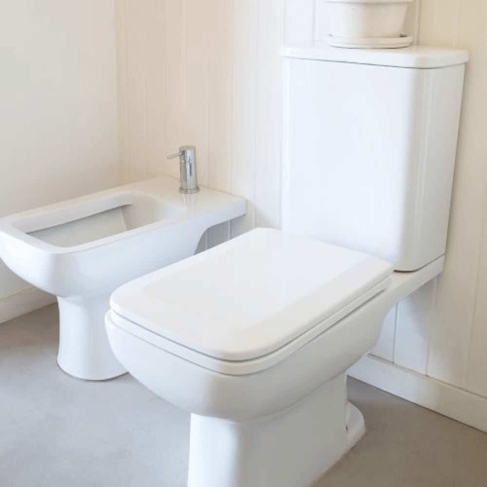FERR-TREB-01-3.jpg