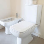 FERR-TREB-01-3.jpg