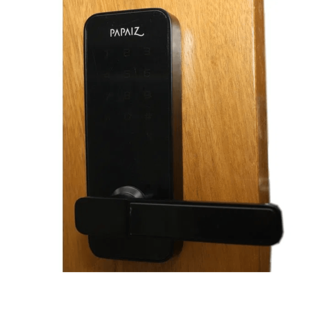 PAPZ-CHA-02.png