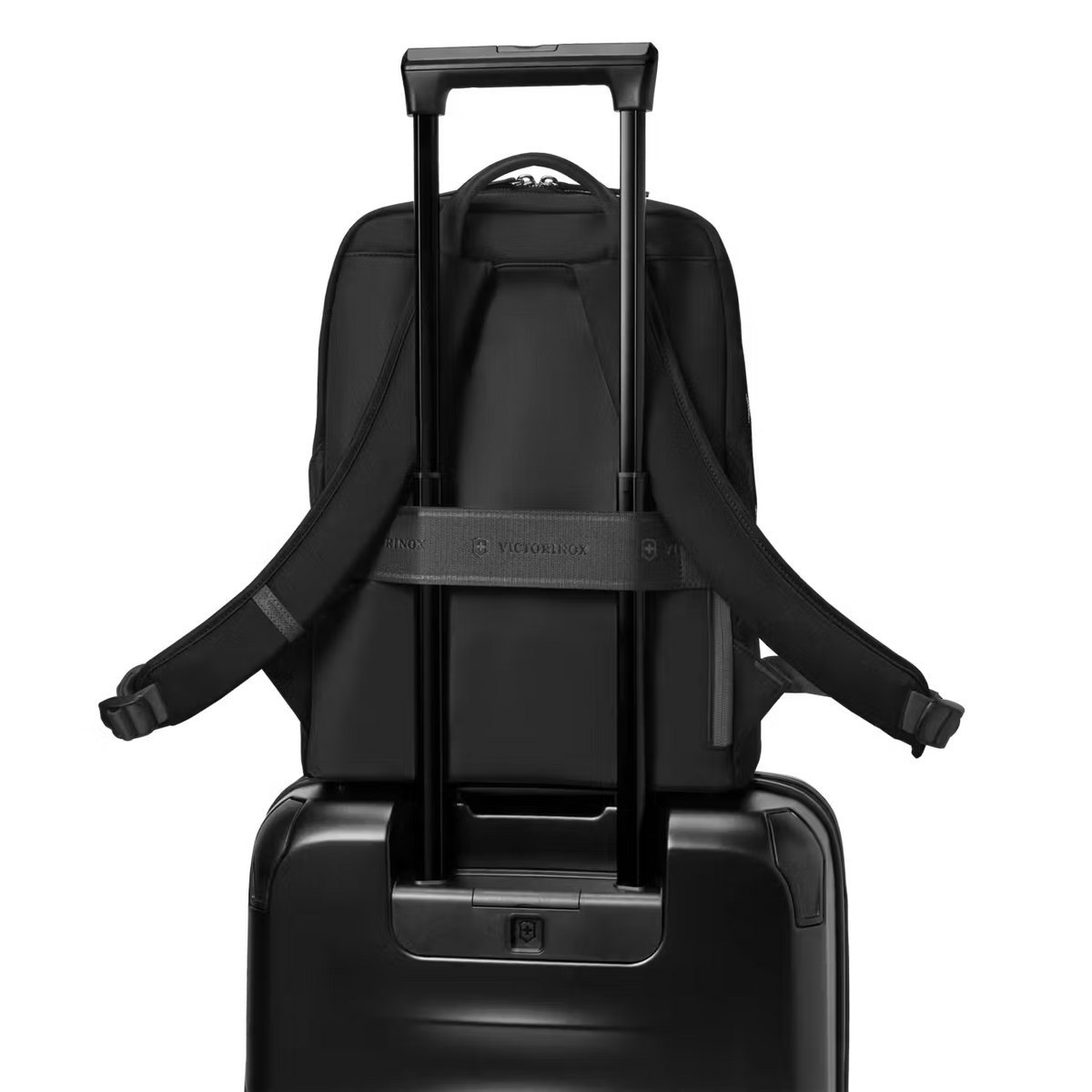 Mochila Victoria Signature Compact