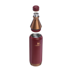 Botella All Day Slim 590 ml