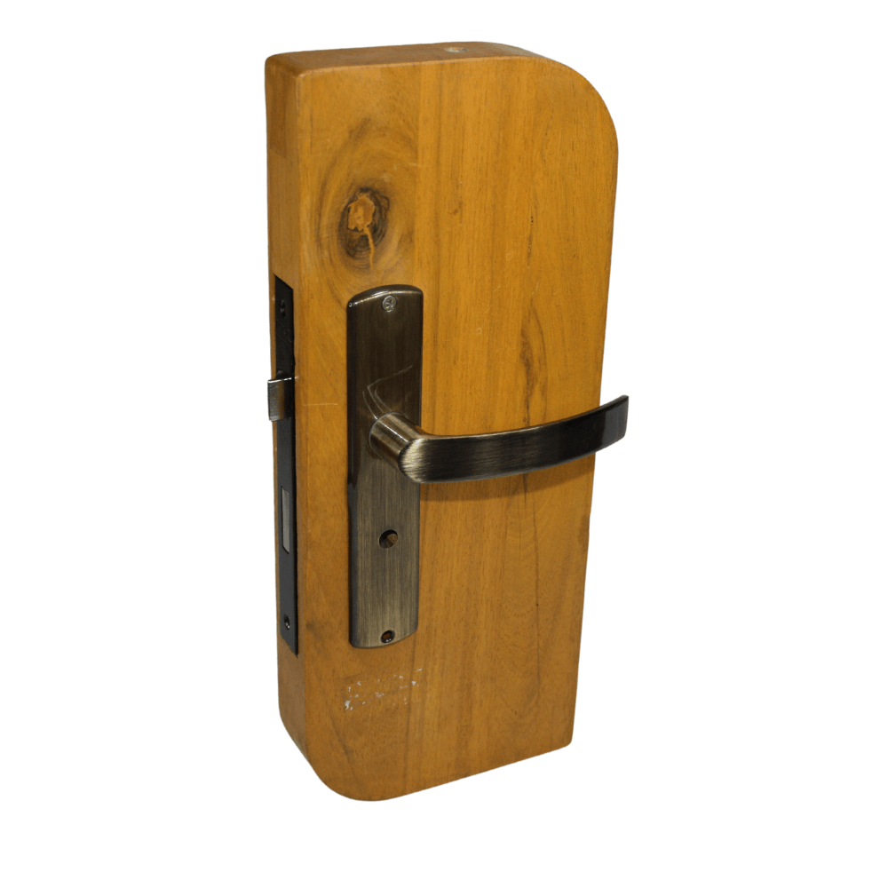 Chapa Puerta Papaiz MZ950 OX 5400-E245 Baño